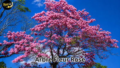 arbre à fleur rose