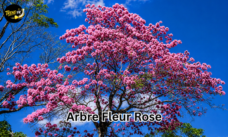 arbre à fleur rose
