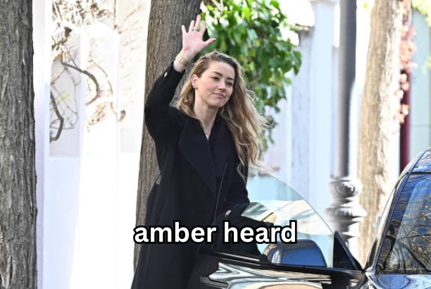 amber heard
